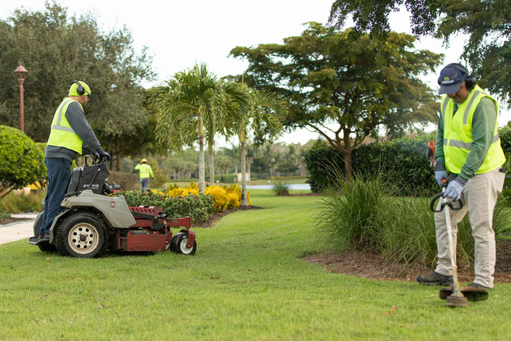 Professional Backyard Landscaping Services