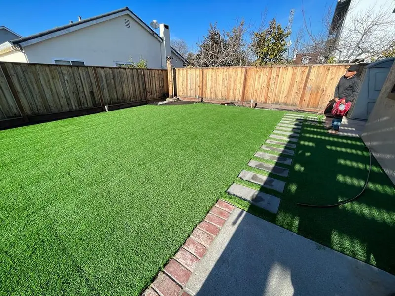 Backyard lawn with brick edging