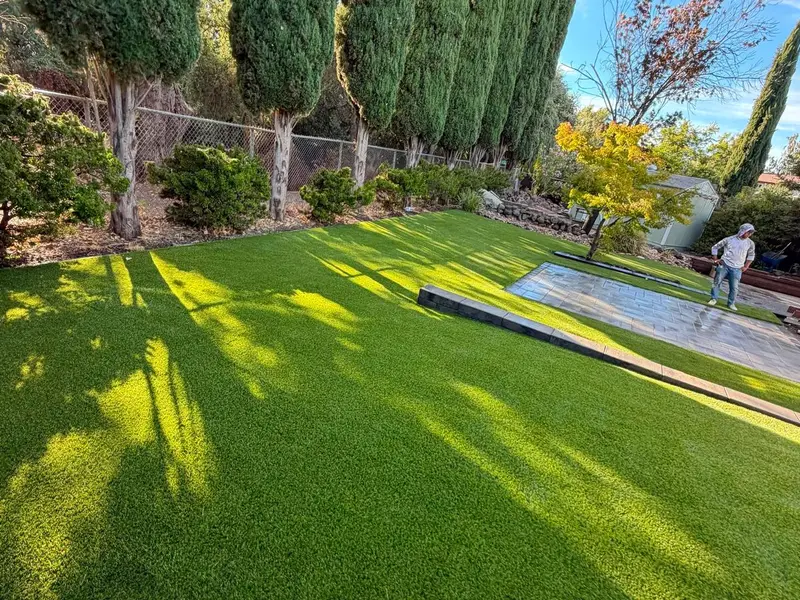 Backyard turf with paver patio