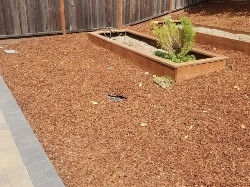 Planting beds with mulch
