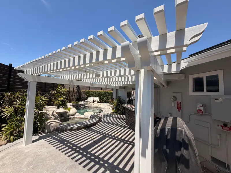Patio cover and fence
